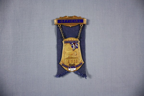 Gold and enamel badge on a blue ribbon