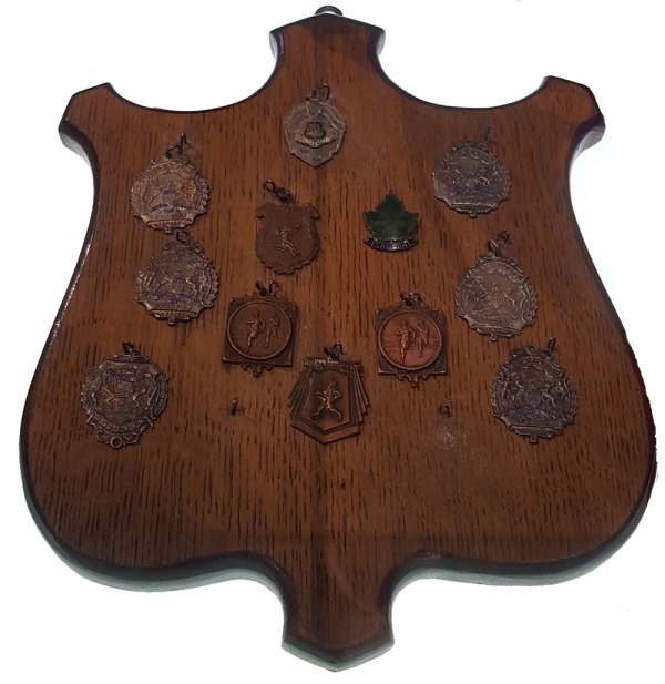 competition medals on wood shield shaped plaque